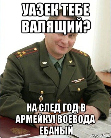 уазек тебе валящий? на след год в армейку! воевода ебаный, Мем Военком (полковник)