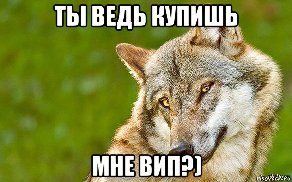 ты ведь купишь мне вип?), Мем   Volf