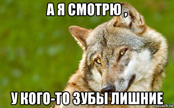 а я смотрю , у кого-то зубы лишние, Мем   Volf