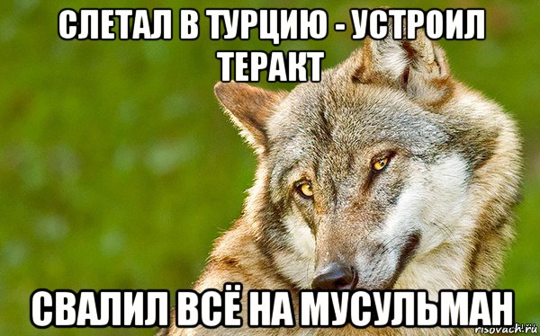 слетал в турцию - устроил теракт свалил всё на мусульман, Мем   Volf