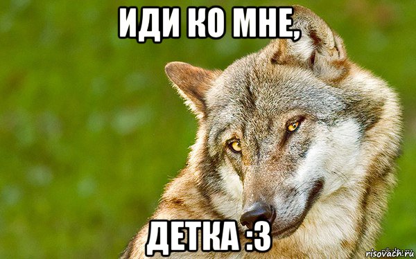 иди ко мне, детка :3, Мем   Volf