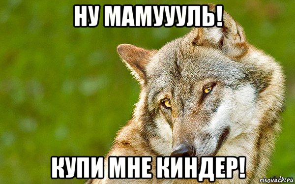 ну мамуууль! купи мне киндер!, Мем   Volf