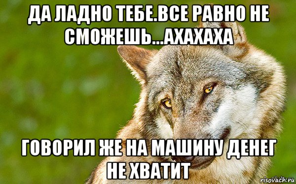 да ладно тебе.все равно не сможешь...ахахаха говорил же на машину денег не хватит, Мем   Volf