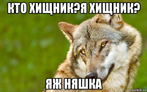 кто хищник?я хищник? яж няшка, Мем   Volf