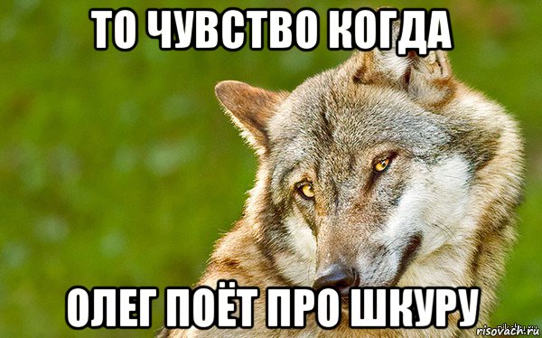 то чувство когда олег поёт про шкуру, Мем   Volf