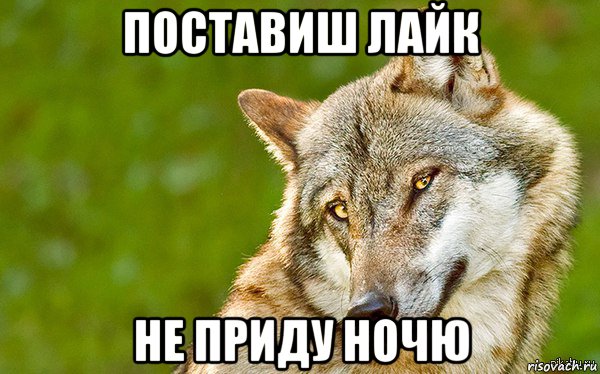 поставиш лайк не приду ночю, Мем   Volf