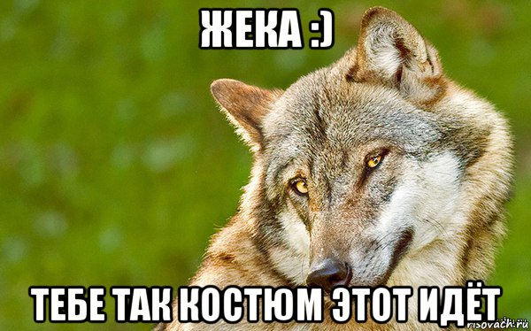 жека :) тебе так костюм этот идёт, Мем   Volf