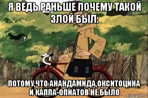 я ведь раньше почему такой злой был: потому,что анандамида,окситоцина и каппа-опиатов не было, Мем   Я ведь раньше почему злой был