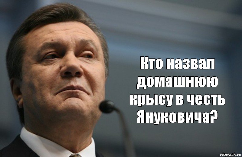  Кто назвал домашнюю крысу в честь Януковича?