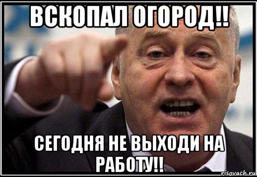 вскопал огород!! сегодня не выходи на работу!!, Мем жириновский ты