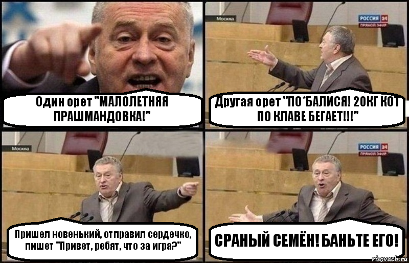 Один орет "МАЛОЛЕТНЯЯ ПРАШМАНДОВКА!" Другая орет "ПО*БАЛИСЯ! 20КГ КОТ ПО КЛАВЕ БЕГАЕТ!!!" Пришел новенький, отправил сердечко, пишет "Привет, ребят, что за игра?" СРАНЫЙ СЕМЁН! БАНЬТЕ ЕГО!, Комикс Жириновский