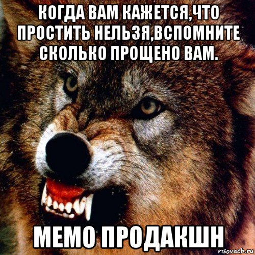 когда вам кажется,что простить нельзя,вспомните сколько прощено вам. мемо продакшн, Мем Злой Волк