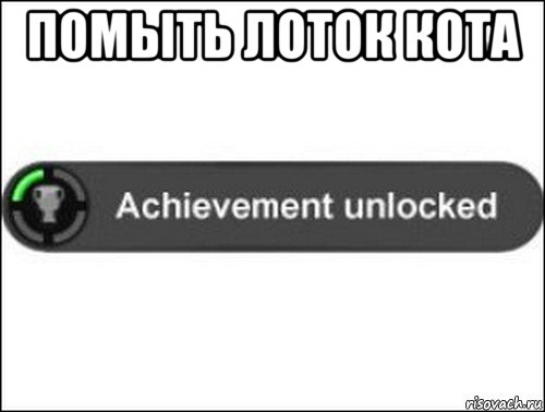 помыть лоток кота , Мем achievement unlocked