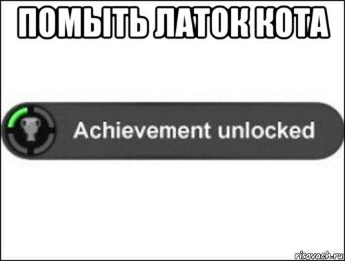 помыть латок кота , Мем achievement unlocked