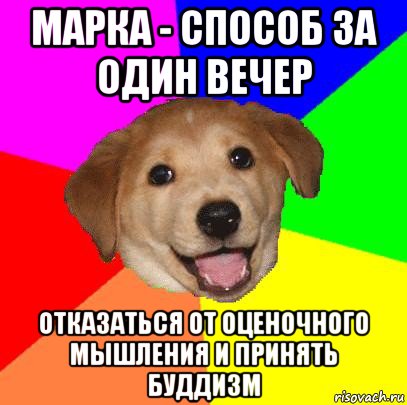 марка - способ за один вечер отказаться от оценочного мышления и принять буддизм, Мем Advice Dog