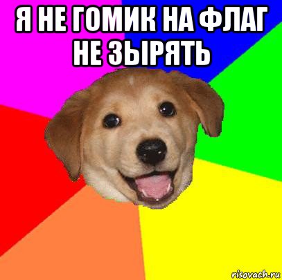 я не гомик на флаг не зырять , Мем Advice Dog