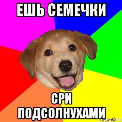 ешь семечки сри подсолнухами, Мем Advice Dog