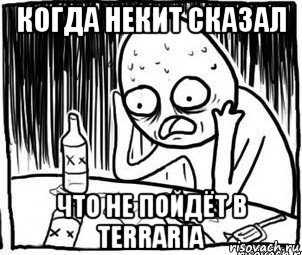 когда некит сказал что не пойдёт в terraria, Мем Алкоголик-кадр