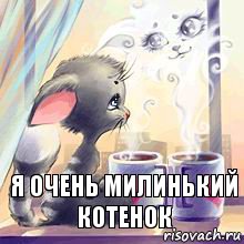 Я очень милинький котенок