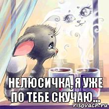 Нелюсичка, Я уже по тебе скучаю...