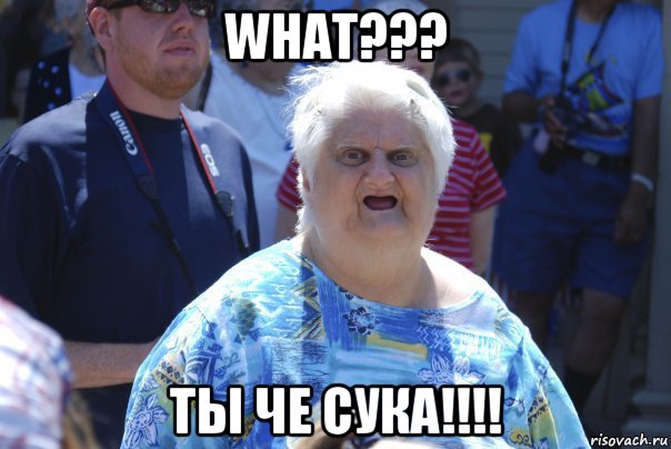 what??? ты че сука!!!!, Мем Шта (Бабка wat)