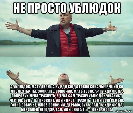 не просто ублюдок а ублюдок, мать твою, а ну иди сюда говно собачье, решил ко мне лезть? ты, засранец вонючий, мать твою, а? ну иди сюда, попробуй меня трахнуть, я тебя сам трахну ублюдок, онанист чертов, будь ты проклят, иди идиот, трахать тебя и всю семью, говно собачье, жлоб вонючий, дерьмо, сука, падла, иди сюда, мерзавец, негодяй, гад, иди сюда ты - говно, жопа!, Мем Безлимитище