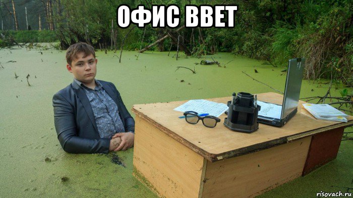 офис bbet , Мем  Парень сидит в болоте