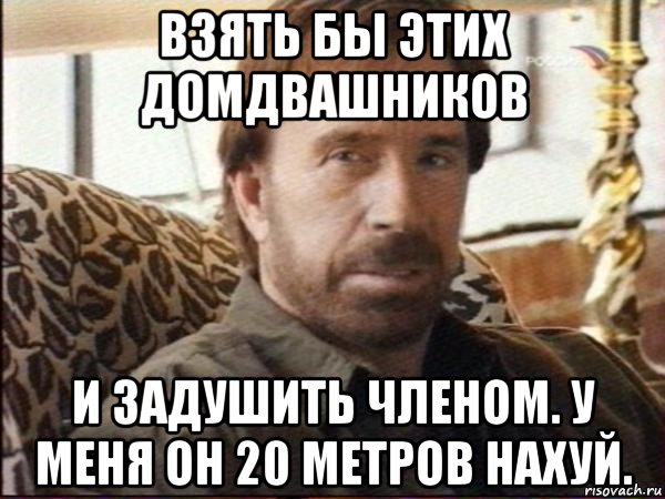 взять бы этих домдвашников и задушить членом. у меня он 20 метров нахуй., Мем чак норрис