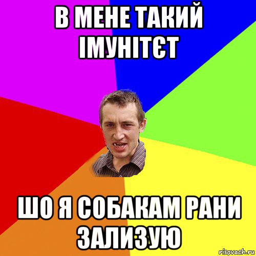 в мене такий імунітєт шо я собакам рани зализую, Мем Чоткий паца