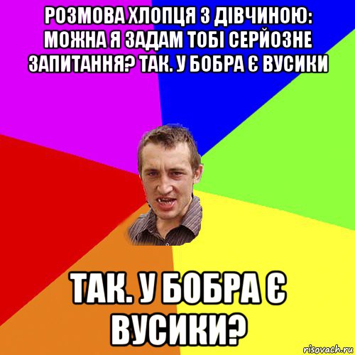 розмова хлопця з дівчиною: можна я задам тобі серйозне запитання? так. у бобра є вусики так. у бобра є вусики?, Мем Чоткий паца