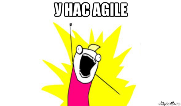 у нас agile , Мем Что мы хотим