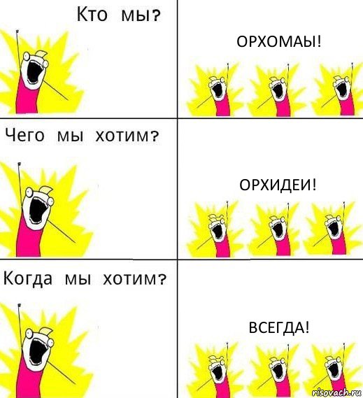 ОРХОМАЫ! Орхидеи! Всегда!, Комикс Что мы хотим