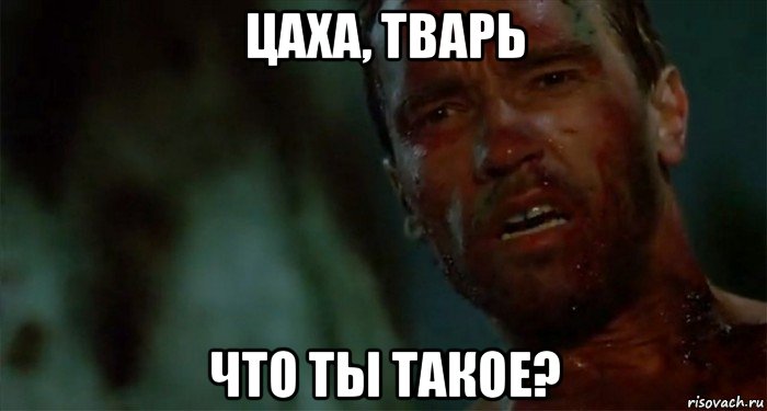 цаха, тварь что ты такое?, Мем Что ты такое