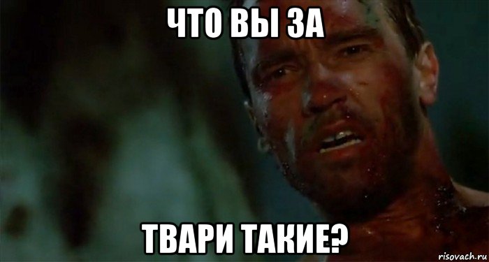 что вы за твари такие?