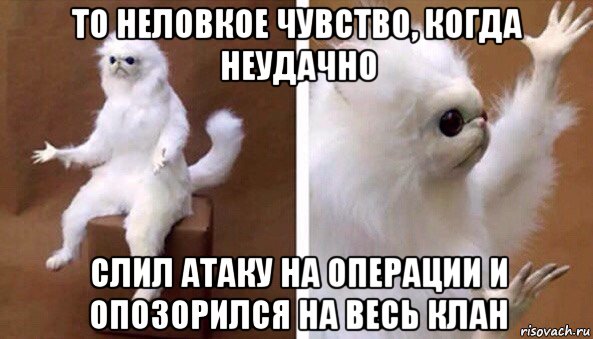 то неловкое чувство, когда неудачно слил атаку на операции и опозорился на весь клан, Мем Чучело кота