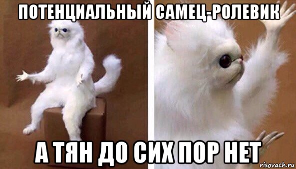 потенциальный самец-ролевик а тян до сих пор нет, Мем Чучело кота