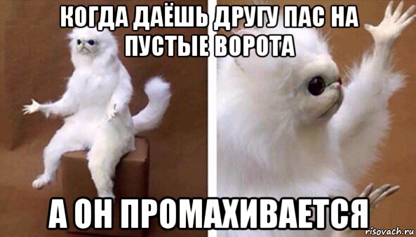 когда даёшь другу пас на пустые ворота а он промахивается, Мем Чучело кота