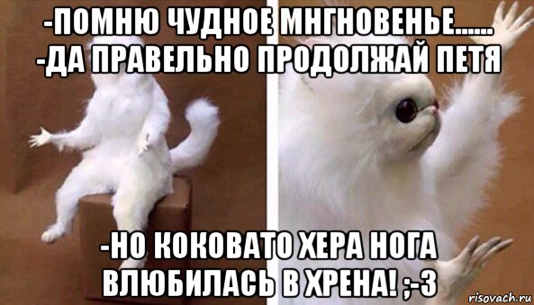 -помню чудное мнгновенье...... -да правельно продолжай петя -но коковато хера нога влюбилась в хрена! ;-з, Мем Чучело кота