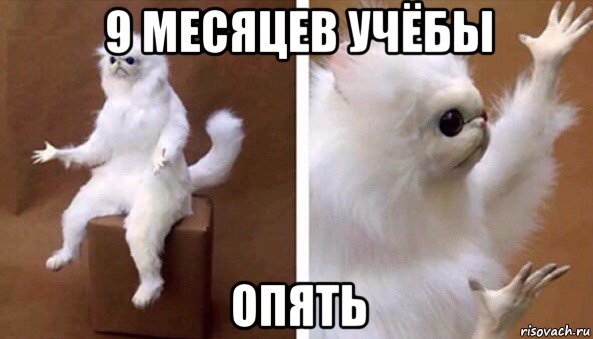 9 месяцев учёбы опять