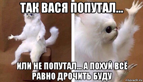 так вася попутал... или не попутал... а похуй всё равно дрочить буду, Мем Чучело кота