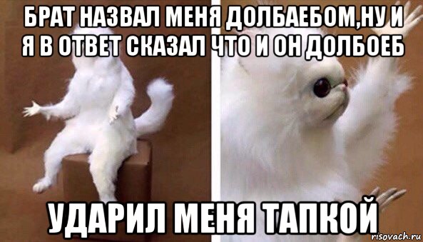 брат назвал меня долбаебом,ну и я в ответ сказал что и он долбоеб ударил меня тапкой, Мем Чучело кота