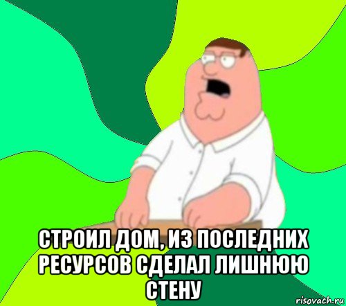  строил дом, из последних ресурсов сделал лишнюю стену, Мем  Да всем насрать (Гриффин)