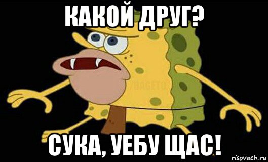 какой друг? сука, уебу щас!, Мем Дикий спанч боб