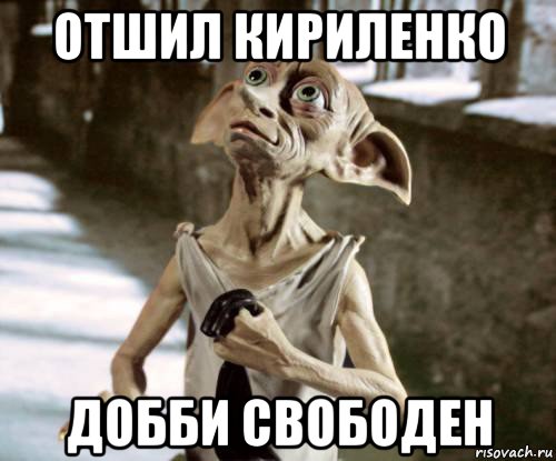 отшил кириленко добби свободен