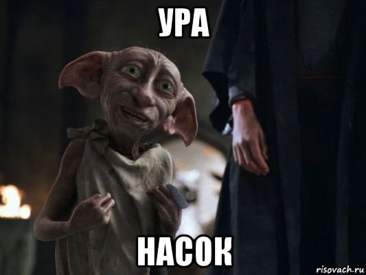 ура насок, Мем   Добби