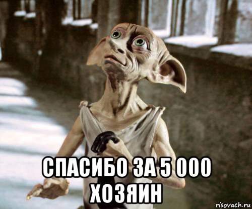  спасибо за 5 000 хозяин