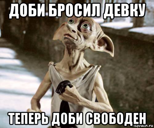 доби бросил девку теперь доби свободен