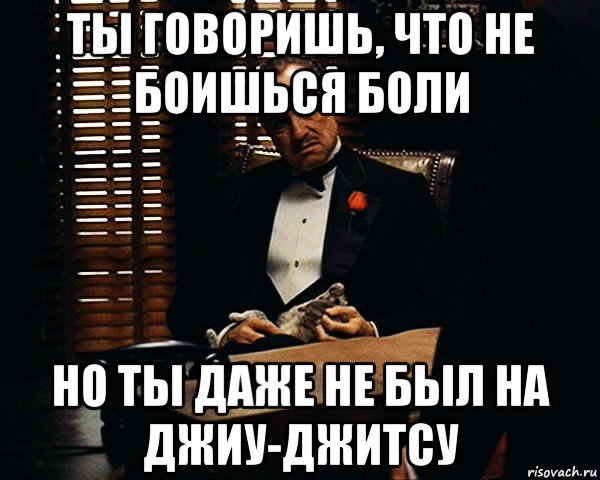 ты говоришь, что не боишься боли но ты даже не был на джиу-джитсу, Мем Дон Вито Корлеоне