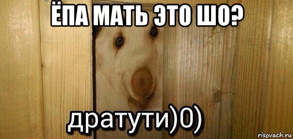 ёпа мать это шо? , Мем  Дратути