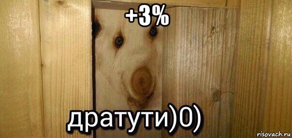 +3% , Мем  Дратути